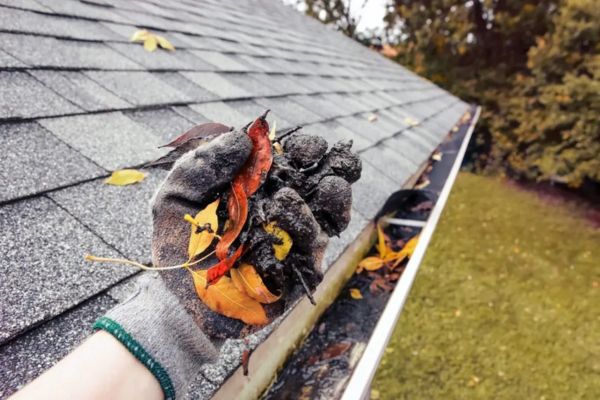 Gutter Cleaning-Service Gutter Cleaning-Service
