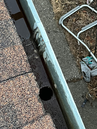 Photo from customer review