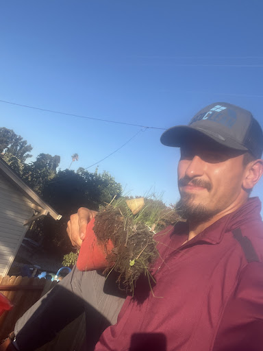 Photo from customer review