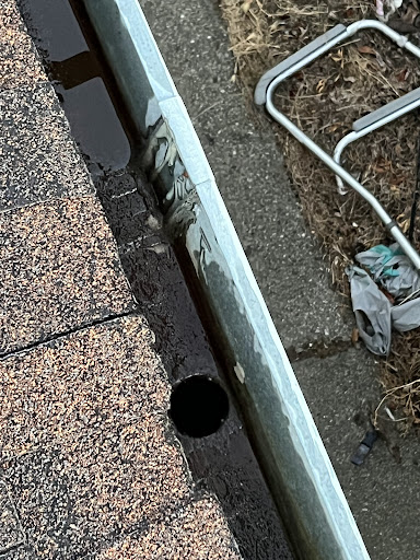 Photo from customer review