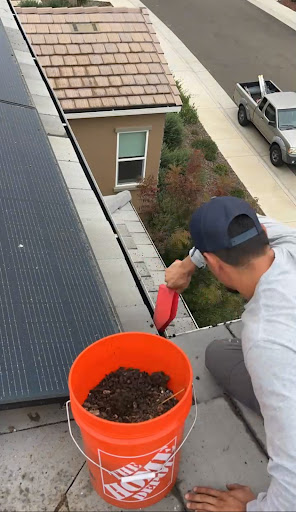 Photo from customer review