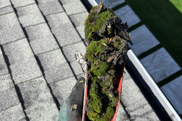 Gutter cleaning SERV OFFICIAL PHOTO_600x400_q90